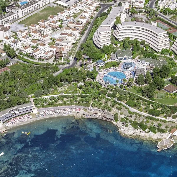 The Grand Blue Sky - zdjęcie 3