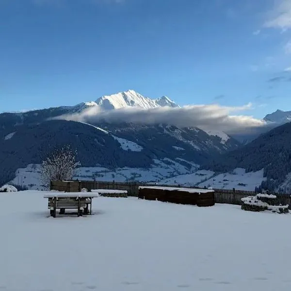Franzerhof Pension - zdjęcie 3