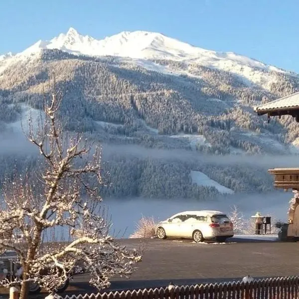 Franzerhof Pension - zdjęcie 2