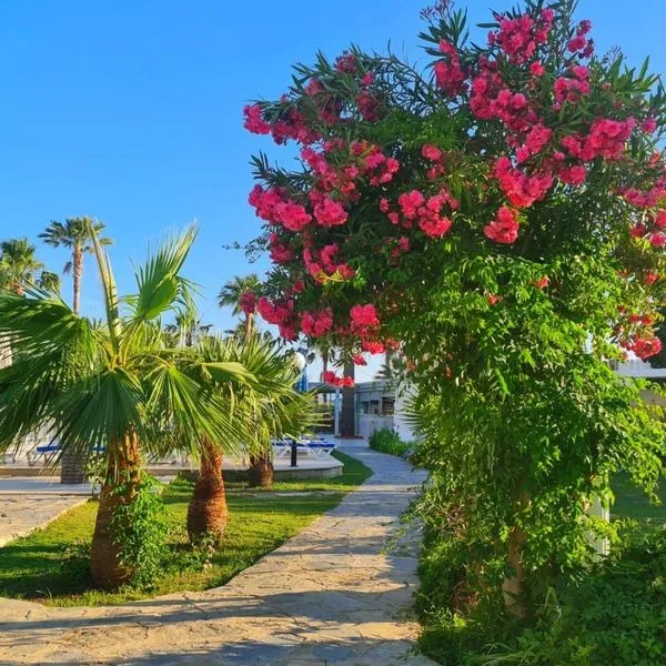 Nagi Beach - zdjęcie 4