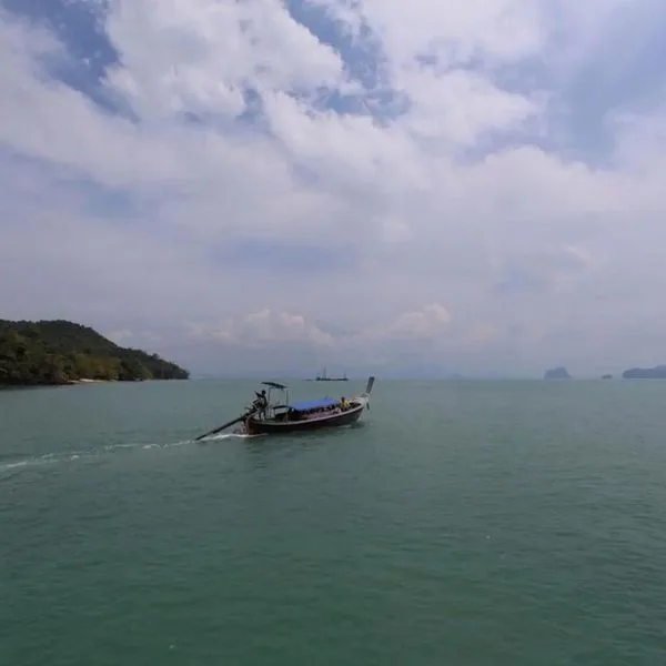 Cape Kudu - zdjęcie 3