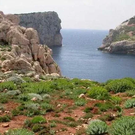 Gardenia (Alghero) - zdjęcie 5