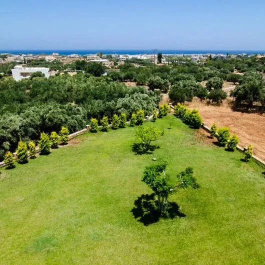 Real Palace - zdjęcie 5