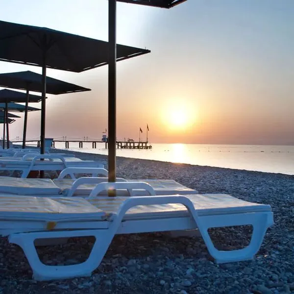 MG White Lilyum (ex Novia) - zdjęcie 2