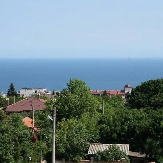 Margarita (Trakata) - zdjęcie 5