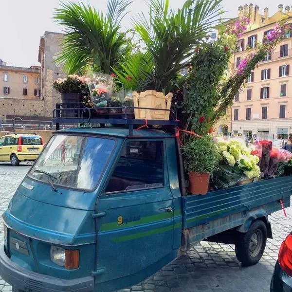 Giotto Flavia - zdjęcie 2