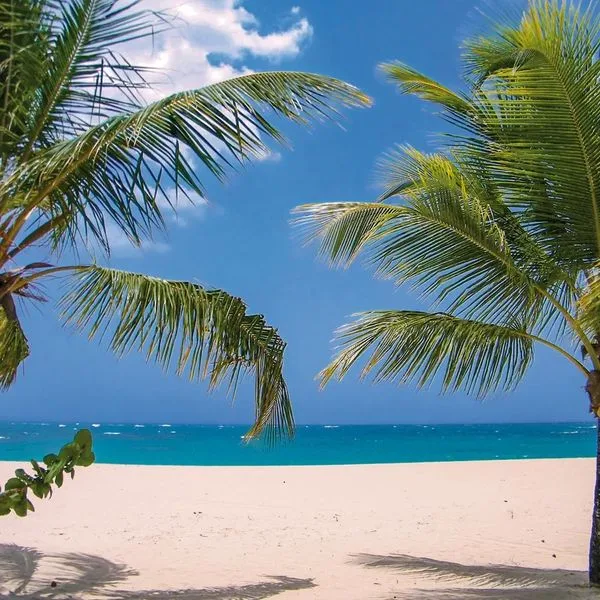 Viva Heavens By Wyndham - zdjęcie 2