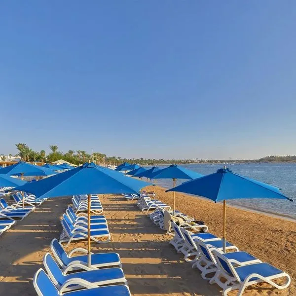 Naama Waves - zdjęcie 2