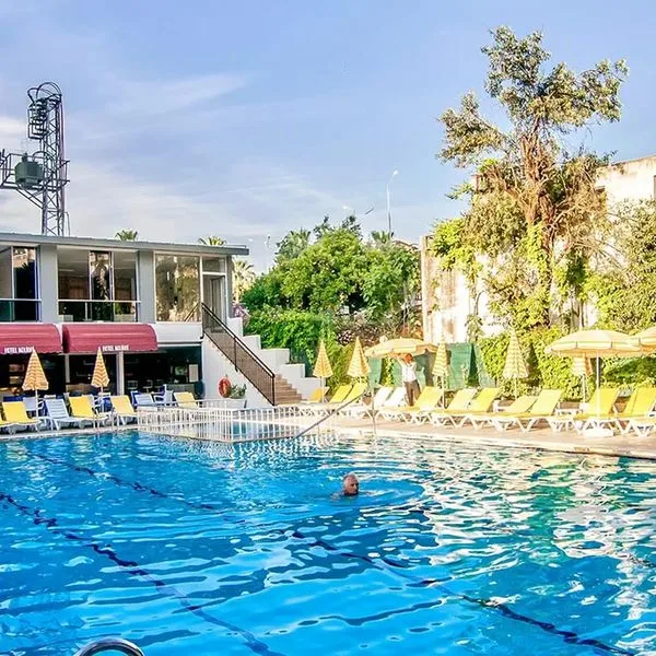 Kolibri - zdjęcie 5