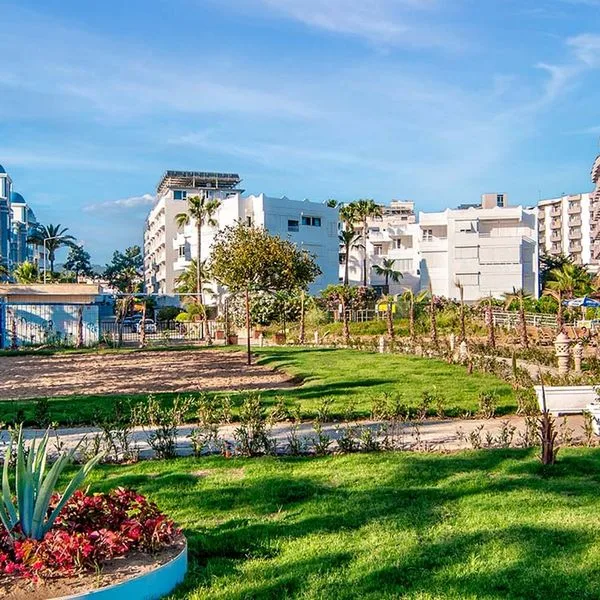 Kolibri - zdjęcie 3