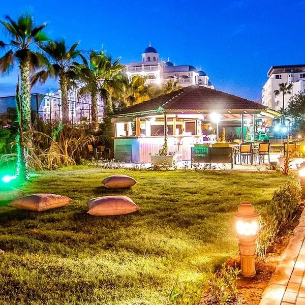 Kolibri - zdjęcie 4