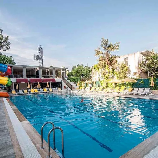 Kolibri - zdjęcie 2