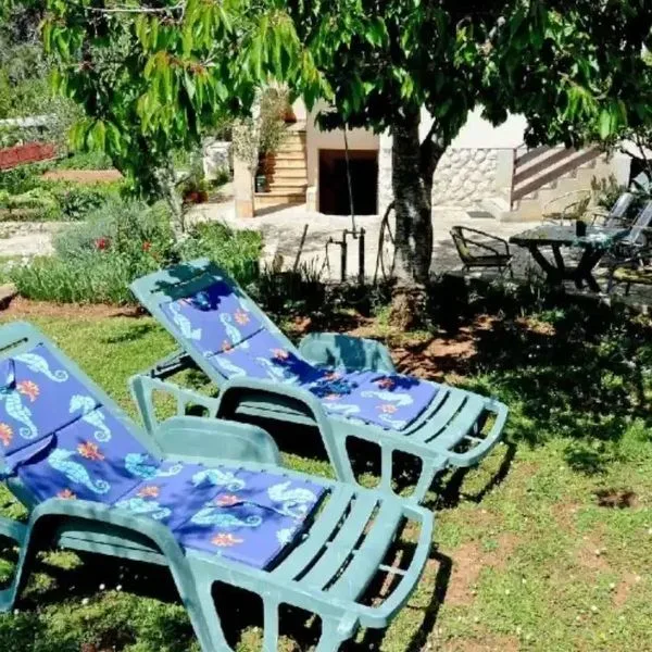 Andjelko - zdjęcie 2