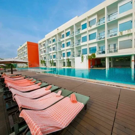 Citrus Waskaduwa - zdjęcie 3