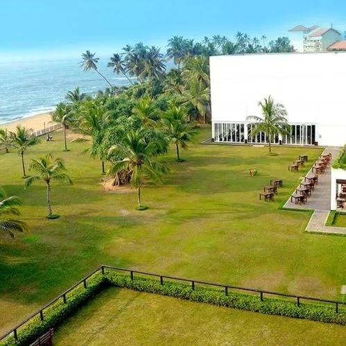 Citrus Waskaduwa - zdjęcie 2