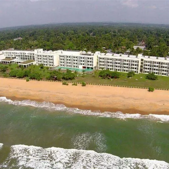 Citrus Waskaduwa - zdjęcie 5