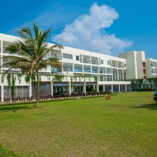 Citrus Waskaduwa - zdjęcie 4