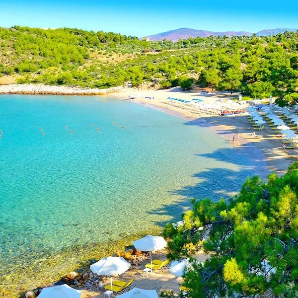 Royal Paradise Beach - zdjęcie 2