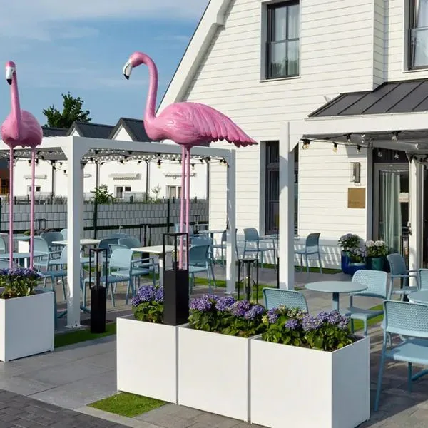 Flamingo Residence - zdjęcie 2