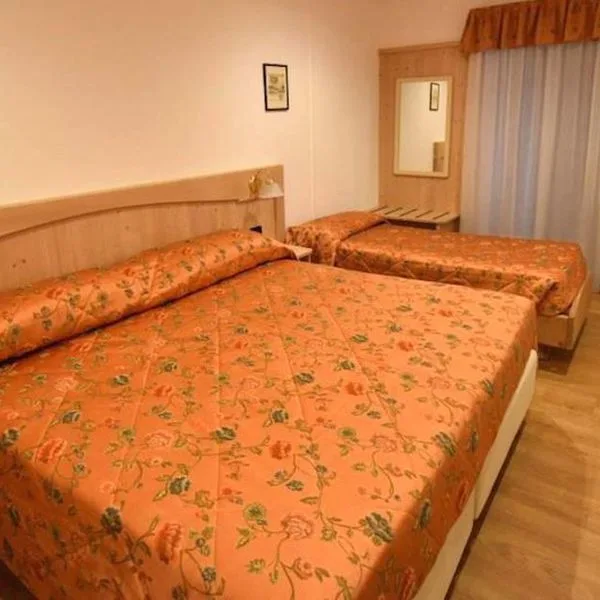 Stella Alpina (Fai Della Paganella) - zdjęcie 3