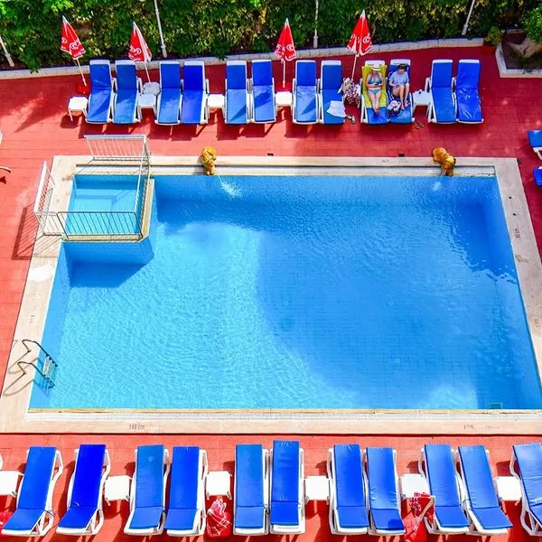 Juniper - zdjęcie 4