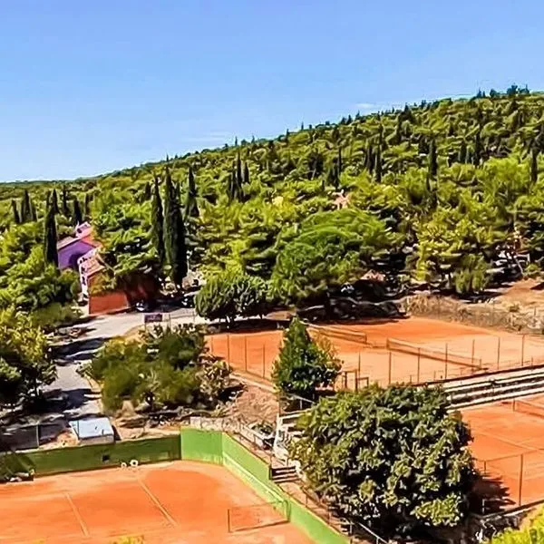 Medena (Seget Donji) - zdjęcie 4