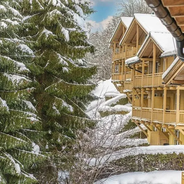 AlpenParks Rehrenberg (ex. Landal Rehrenberg) - zdjęcie 4