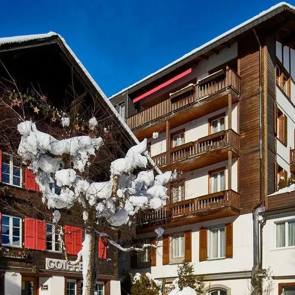 Bristol (Adelboden) - zdjęcie 5