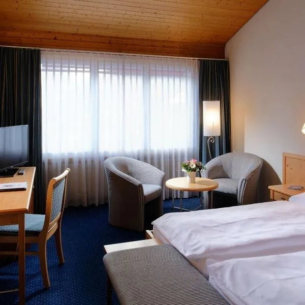 Bristol (Adelboden) - zdjęcie 3