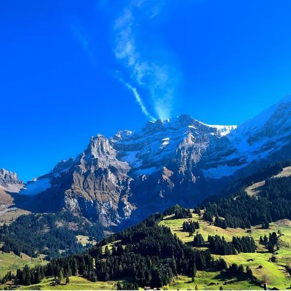 Bristol (Adelboden) - zdjęcie 2