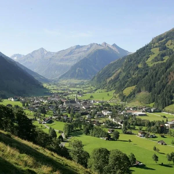 Platzwirt Gasthof - zdjęcie 5