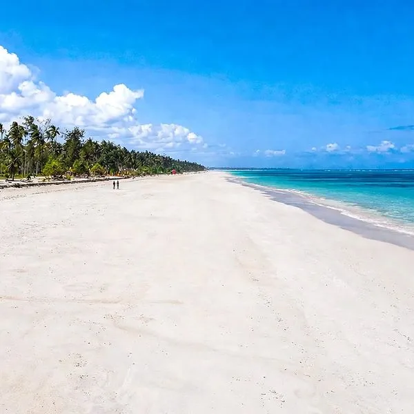 Anaya (Zanzibar) - zdjęcie 3