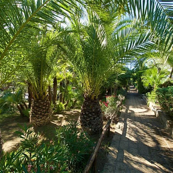 Residence Park Solemaremma - zdjęcie 2