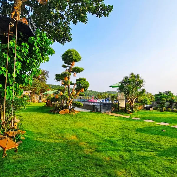 Tom Hill Resort & Spa - zdjęcie 3