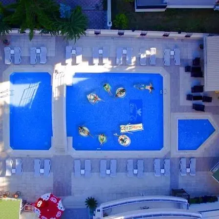 Elite Orkide - zdjęcie 2