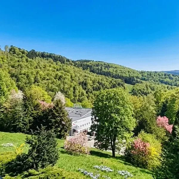 Solis (Ustroń) - zdjęcie 2