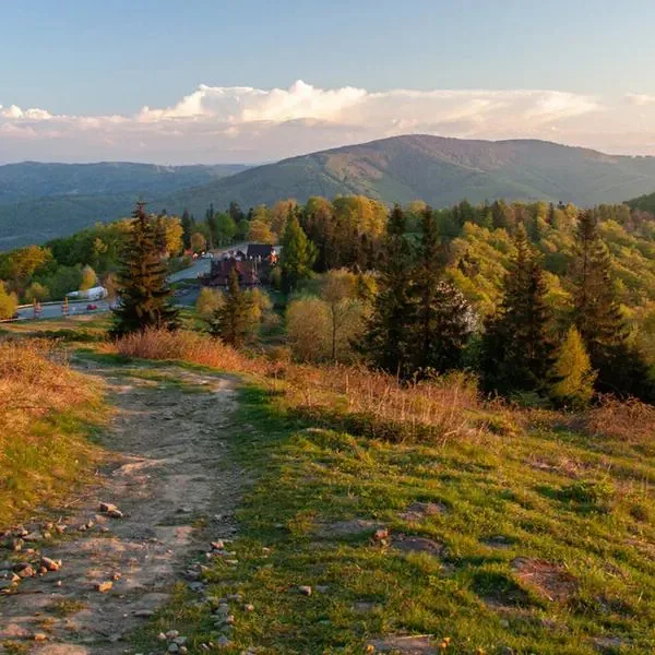 Solis (Ustroń) - zdjęcie 5