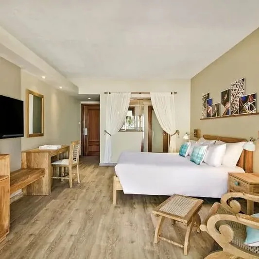 C Mauritius Palmar - zdjęcie 5