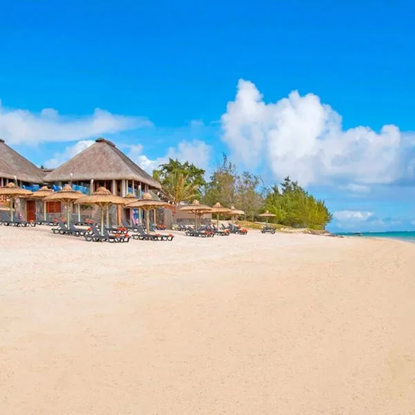 C Mauritius Palmar - zdjęcie 4