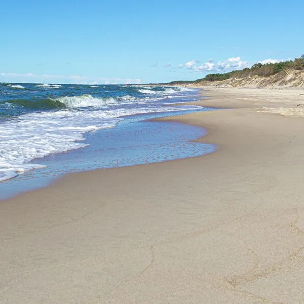 Sun & Snow Apartamenty Gea Eco - zdjęcie 5