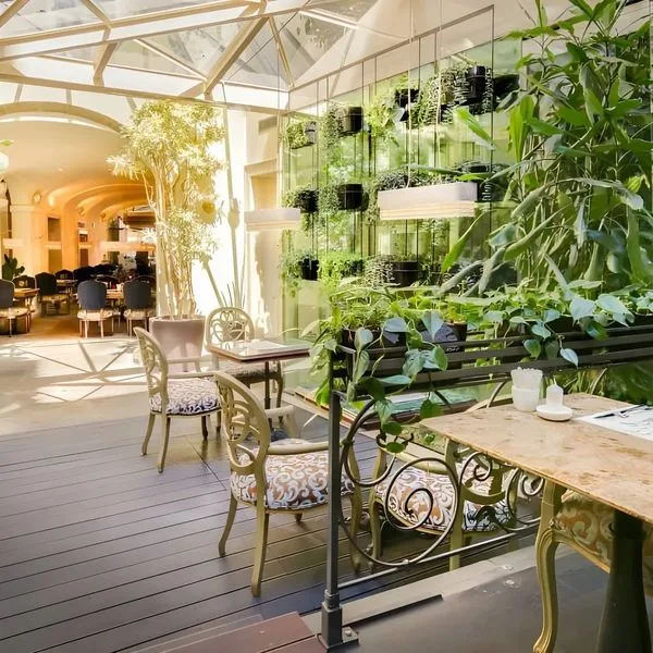 The Dominican (ex. Savic) - zdjęcie 2