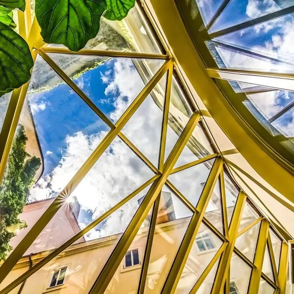 The Dominican (ex. Savic) - zdjęcie 3