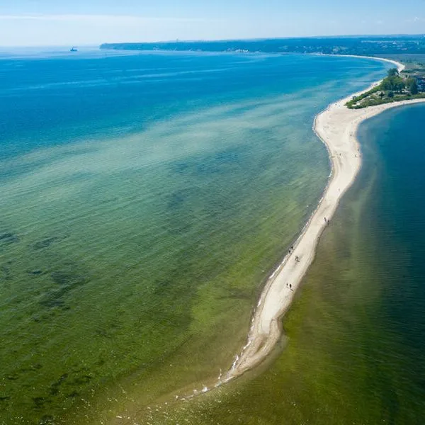 Skipper - zdjęcie 4