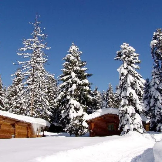 Yagoda (Borowiec) - zdjęcie 3