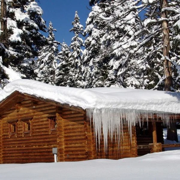 Yagoda (Borowiec) - zdjęcie 2