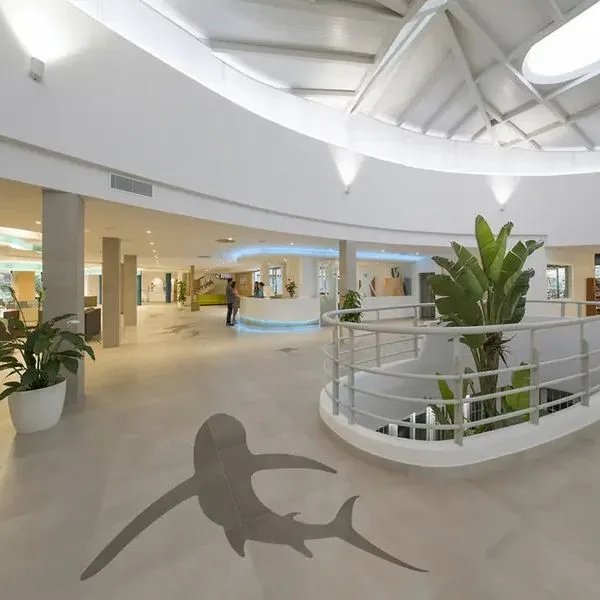 Marvell - zdjęcie 5