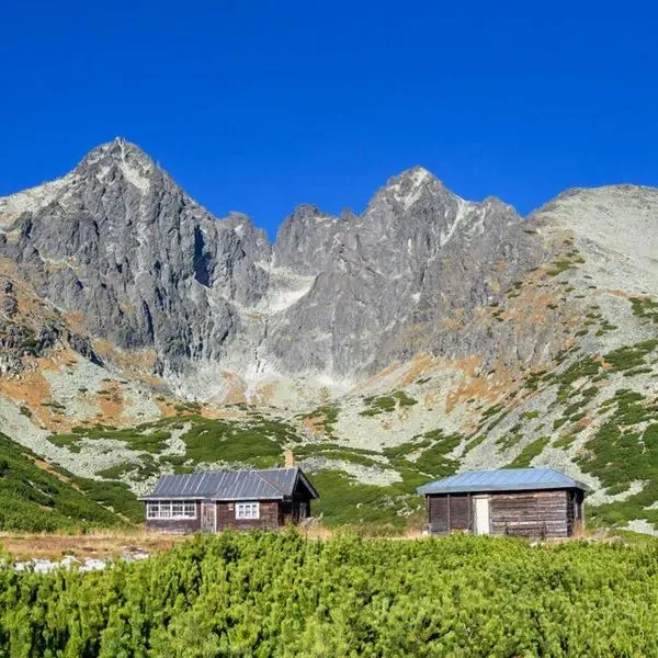 Kukucka - zdjęcie 3