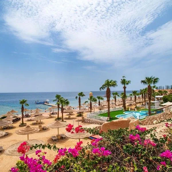 Savoy (Sharm El Sheikh) - zdjęcie 4