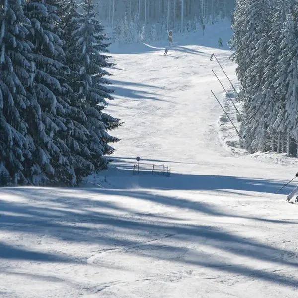 Pod Śnieżnikiem Apartamenty i Hotel - zdjęcie 5