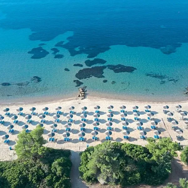 Blue Dolphin - zdjęcie 2